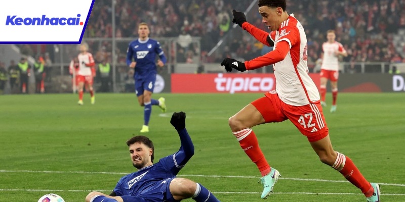 Tổng quan trận Hoffenheim vs Munich - 20:30 - 20/09