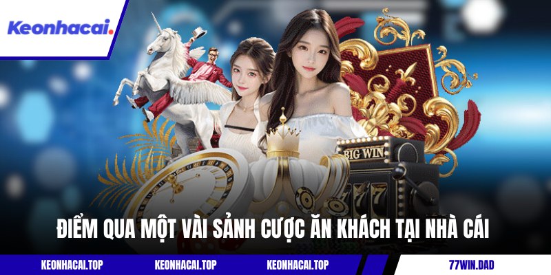 Điểm qua một vài sảnh cược ăn khách tại nhà cái 